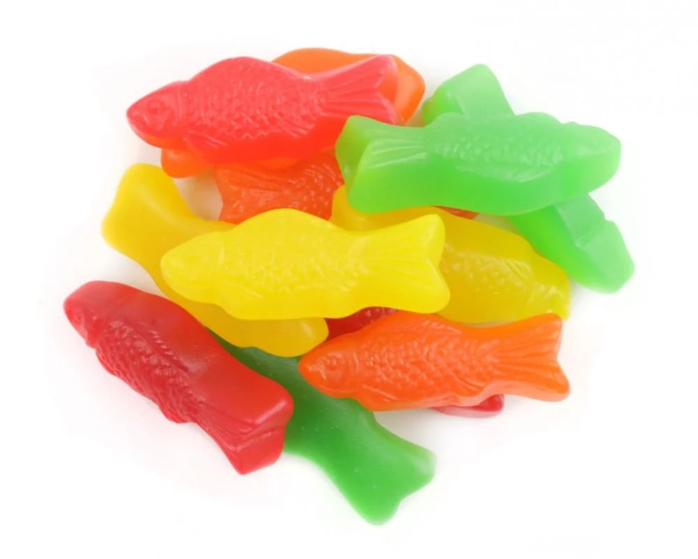 Gummy Fish 285g  Delicious Fruity Flavour – Ryans Candies